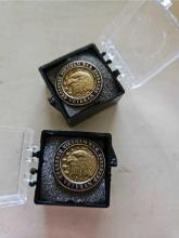 (2) Vietnam War Veteran 50th Anniversary Eagle Commemorative Pin in Case