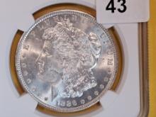 NGC 1886 Morgan Dollar in Mint State 63