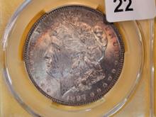 CAC 1897 Morgan Dollar in Mint State 63