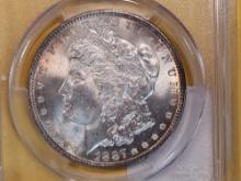 PCGS 1887 Morgan Dollar in Mint State 64