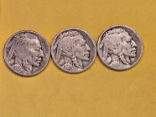 1916 P-D-S Set of Buffalo Nickels