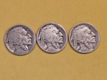 1918 P-D-S Set of Buffalo Nickels