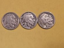 1927 P-D-S Set of Buffalo Nickels