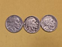 1929 P-D-S Set of Buffalo Nickels
