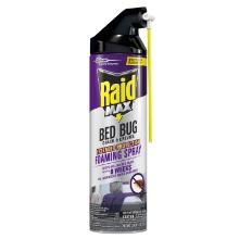 Raid Foaming Crack and Crevice Bed Bug Killer, 17.5 Oz
