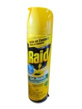 Raid Ant & Roach Spray, 17.5 oz.