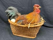 Real Taxidermy Chicken in Basket with Eggs