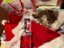 Lot of Santa Hats and Gift Bags and Boxes