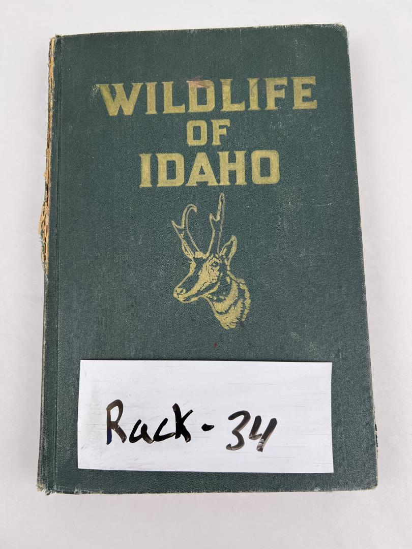 Wildlife Of Idaho