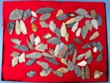 60 Various Points, Arrowheads, Mainly Found in Gloucester County, NJ