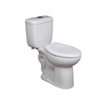 Members Mark High Efficiency Dual Flush 2 Piece Toilet