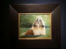 Cassidy Shih Tsu Oil Painting