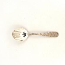 Repousse Spoon