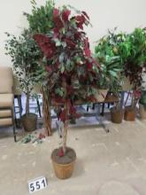 6' Silk Tree in Wicker Planter