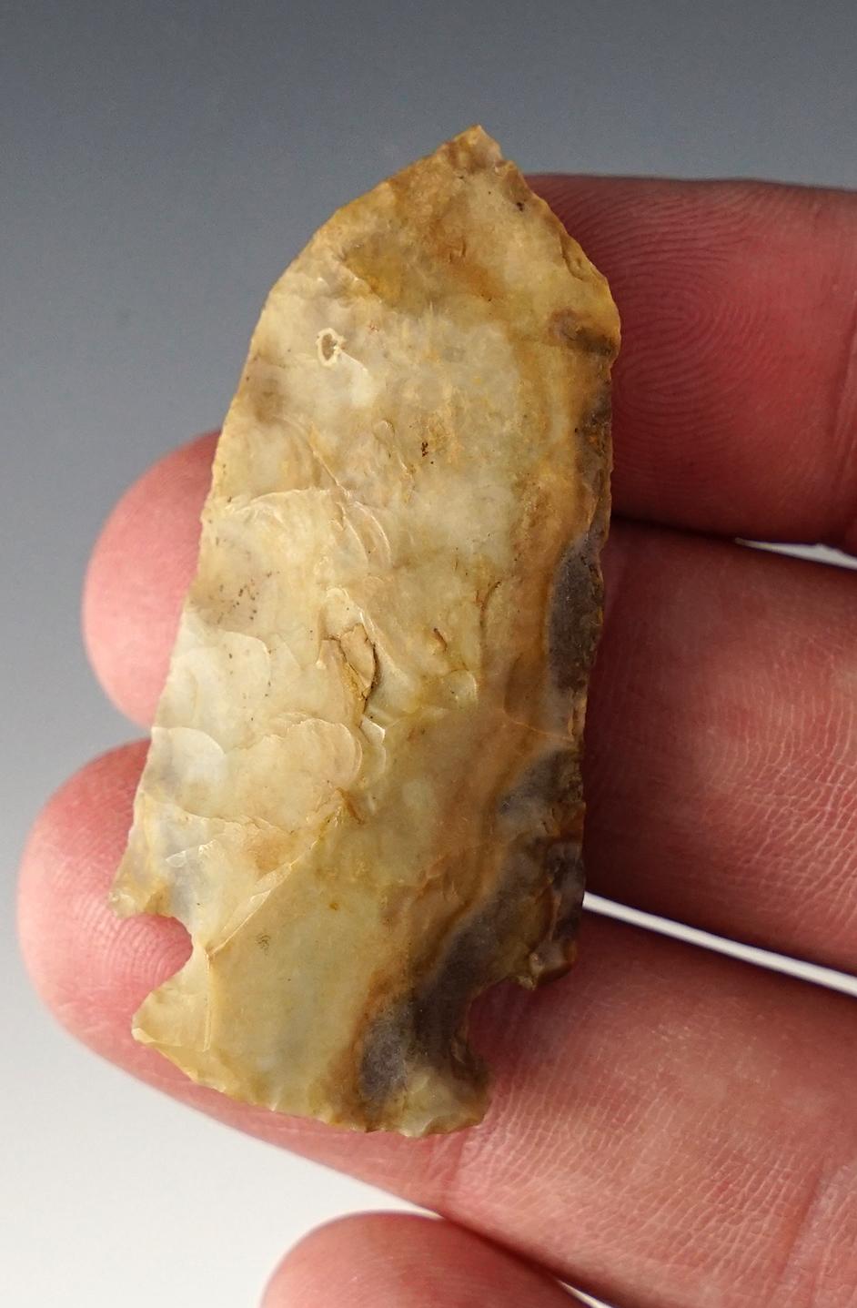 Well colored 2 1/16" Archaic Pentagonal found in Ohio. Made from Flint Ridge Flint.