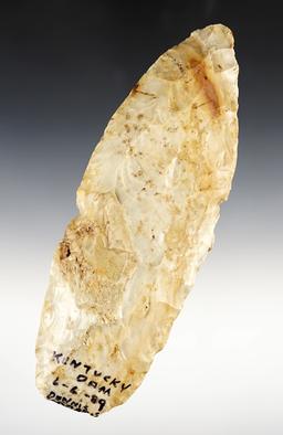 Large 7 3/4" Flint Blade found by Dennis Morris near Kentucky Lake Dam on 6-6-1989.