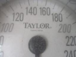Taylor 300lb Capacity Bathroom Scale