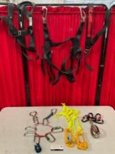 18 pcs Climbing Equipment & Accessories. Pair of Jumar Rope Ascenders. 2x REI Climbing Harnesses.