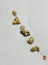 Gold Nuggets Alaskan Yellow Top End 20 Kt+ .121 Grams