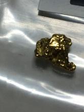 .311 Grams #6 Mesh Alaskan Natural Placer Gold Nugget 