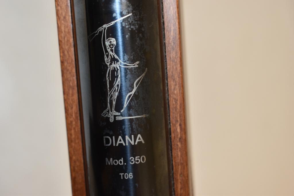 Gun Diana Model 350 Air Rifle