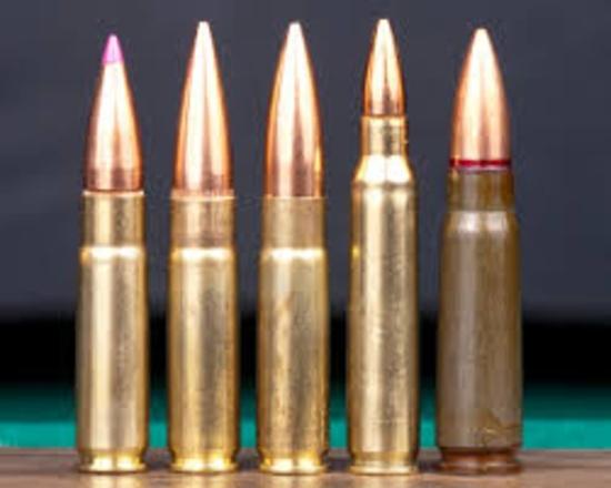 August 2024 Multi-Consignor Ammunition & Shooting