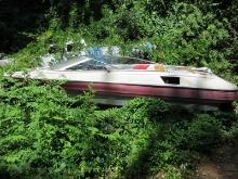 Arriva Speed Boat w/ MerCruiser Alpha One Motor on Trailer