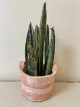 Pottery Basket with Ceramic Snake Plant